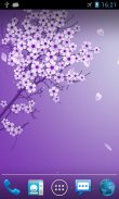 Sakura Live Wallpaper screenshot 4