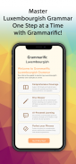 Grammarific: Luxembourgish screenshot 2