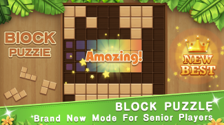 Block Puzzle Woody -Free Classic Block Puzzle Game screenshot 3