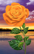 Rose. Magic Touch Flowers screenshot 7