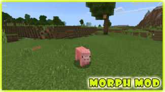 Morph Mod Minecraft 🐴 screenshot 4