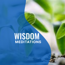Daily Wisdom Meditations