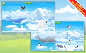 Animal Games screenshot 8