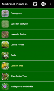 Medicinal Plants in Africa screenshot 0