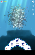 school of fish  AR screenshot 5