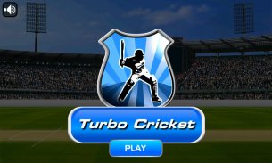 Turbo Cricket screenshot 0