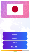Flags of the World Quiz Game screenshot 2