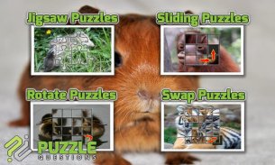 Free Baby Animal Puzzles screenshot 6