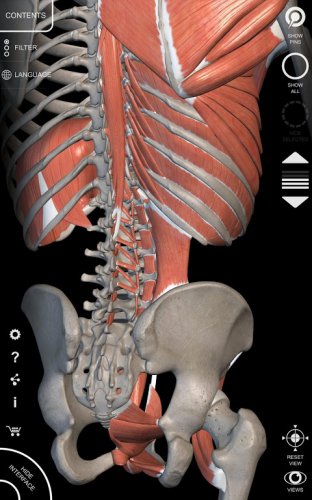 Anatomy 3d Atlas 2 0 7 Download Android Apk Aptoide