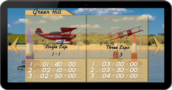 空中特技飞行员3D飞机游戏 screenshot 9