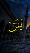 Surah Yaseen screenshot 4