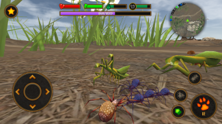 Life of Spider screenshot 4