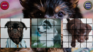 Puppy Dog Puzzle Slide - Sliding Tiles Game screenshot 0