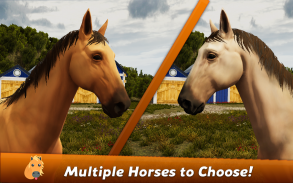 Horse Show Jumping Champions 2 screenshot 2