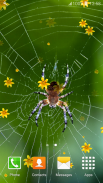 nhện hình nền sống screenshot 4