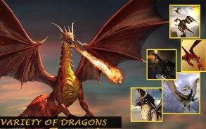 Grand Dragon Fire Simulator - Epic Battle 2019 screenshot 7