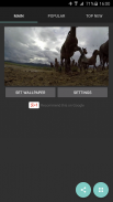 Cavalli selvaggi 4K screenshot 7