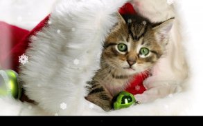 Xmas Cat Live Wallpaper screenshot 0
