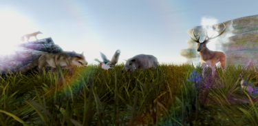 Wild Animal Hunter 3D : Animal Hunting Game 2021 screenshot 0