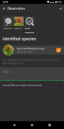 Flora Incognita - automated plant identification screenshot 1