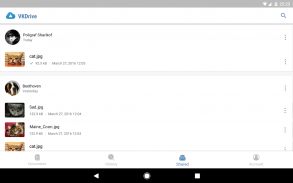 VKDrive screenshot 0