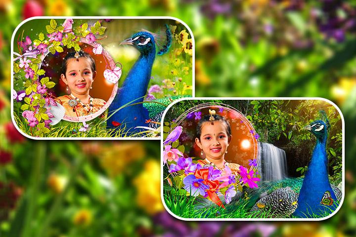 Peacock Photo Frames - APK Download for Android | Aptoide