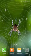 Spider Live Wallpapers screenshot 4