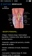 Rodilla Ap screenshot 2