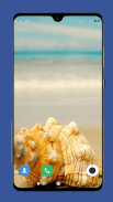 Seashell Wallpaper HD screenshot 14