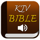 Audio Bible KJV Offline