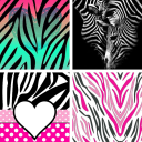 Zebra Print Wallpapers: HD images Free download