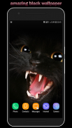 Black Wallpaper screenshot 9