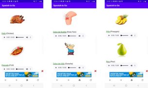 Learn Spanish Fast | Spanish to Go screenshot 8