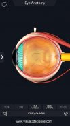 Eye Anatomy Pro. screenshot 11