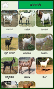 Goat Kannada screenshot 1