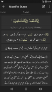 Maarif ul Quran screenshot 6