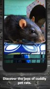 How to Take Care of a Pet Rat (Guide) screenshot 1