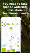 Árbol afortunado: planta tu propio árbol screenshot 0