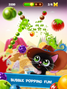 Fruity Cat: bubble shooter! screenshot 8