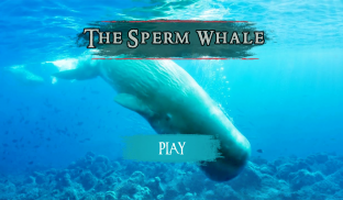 The Sperm Whale screenshot 15