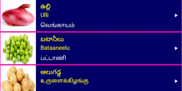 Learn Telugu From Tamil screenshot 6