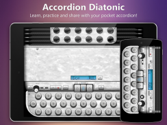 Accordion Diatonic screenshot 4