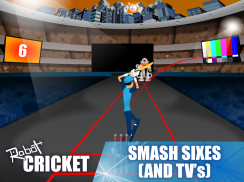 Robot Cricket screenshot 2