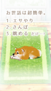 癒しの子犬育成ゲーム〜柴犬編〜 screenshot 11