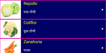 Learn Spanish From Hindi screenshot 1