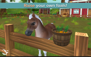 Star Stable Horses screenshot 13