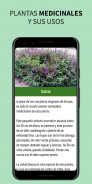 Plantas Medicinales y Remedios screenshot 5