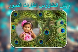 إطارات صور ريش الطاووس screenshot 4