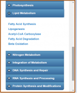 Basic Biochemistry screenshot 3