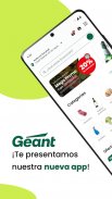 Geant screenshot 11